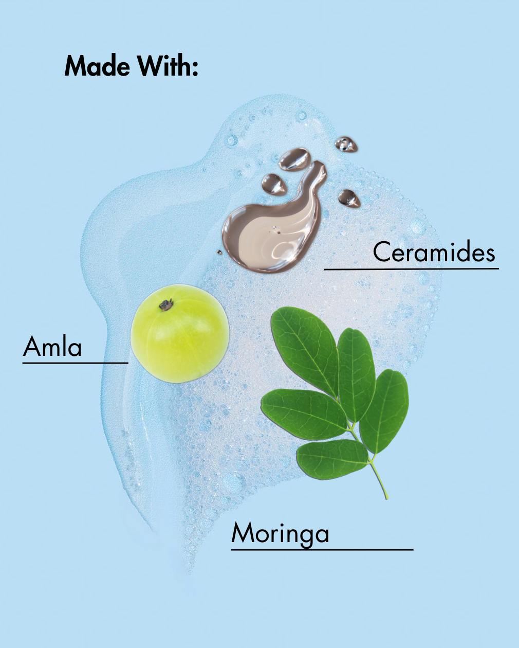 Diagramme représentant l'Amla, le Moringa et les Céramides sur fond bleu