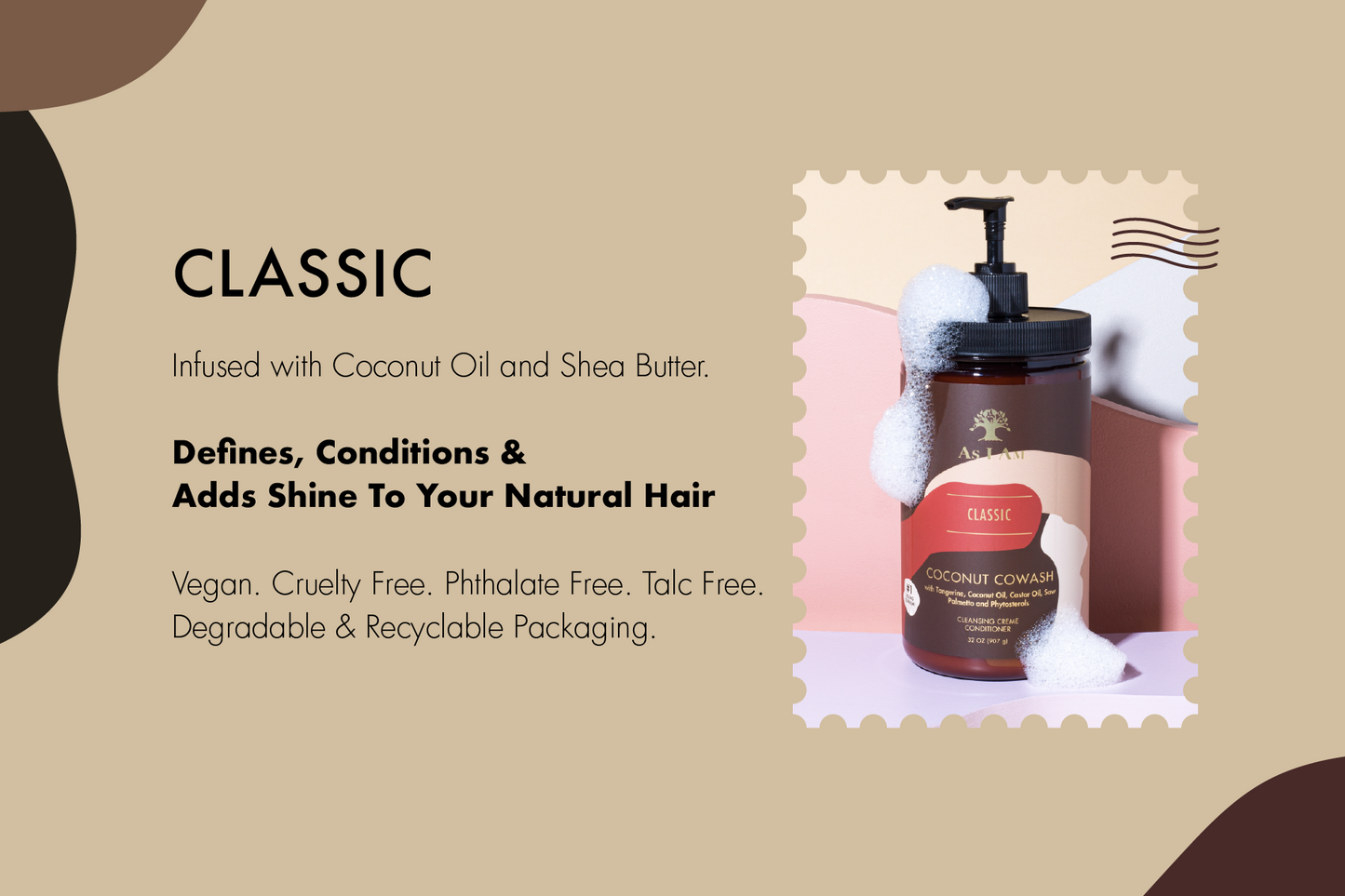 graphique d'information sur la vachette classique