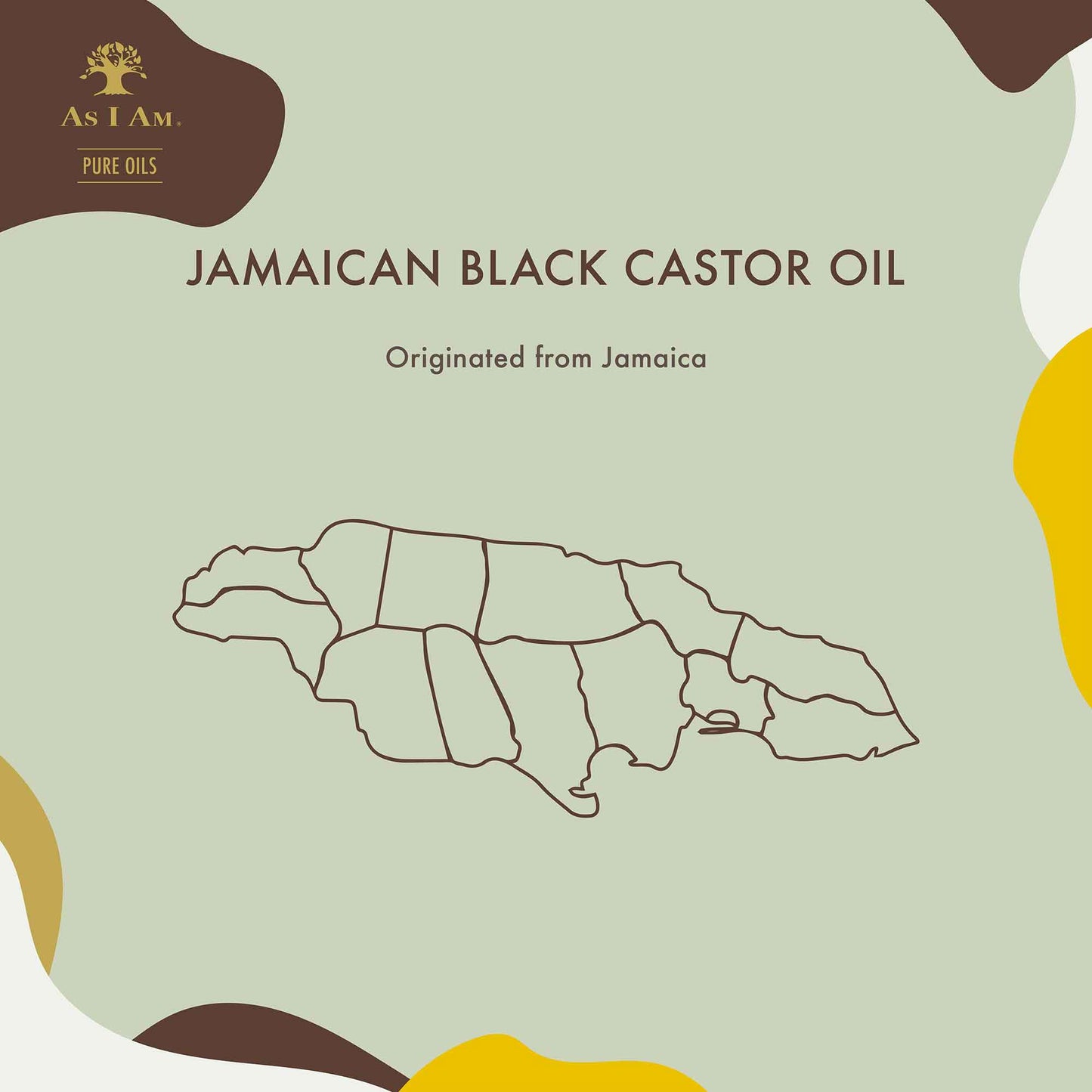 Huiles pures Huile vierge de ricin noir de Jamaïque