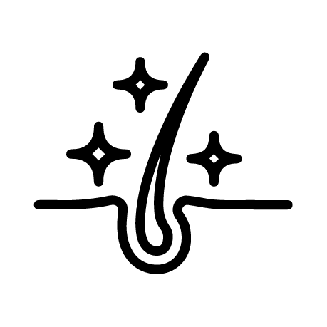 Follicule pileux