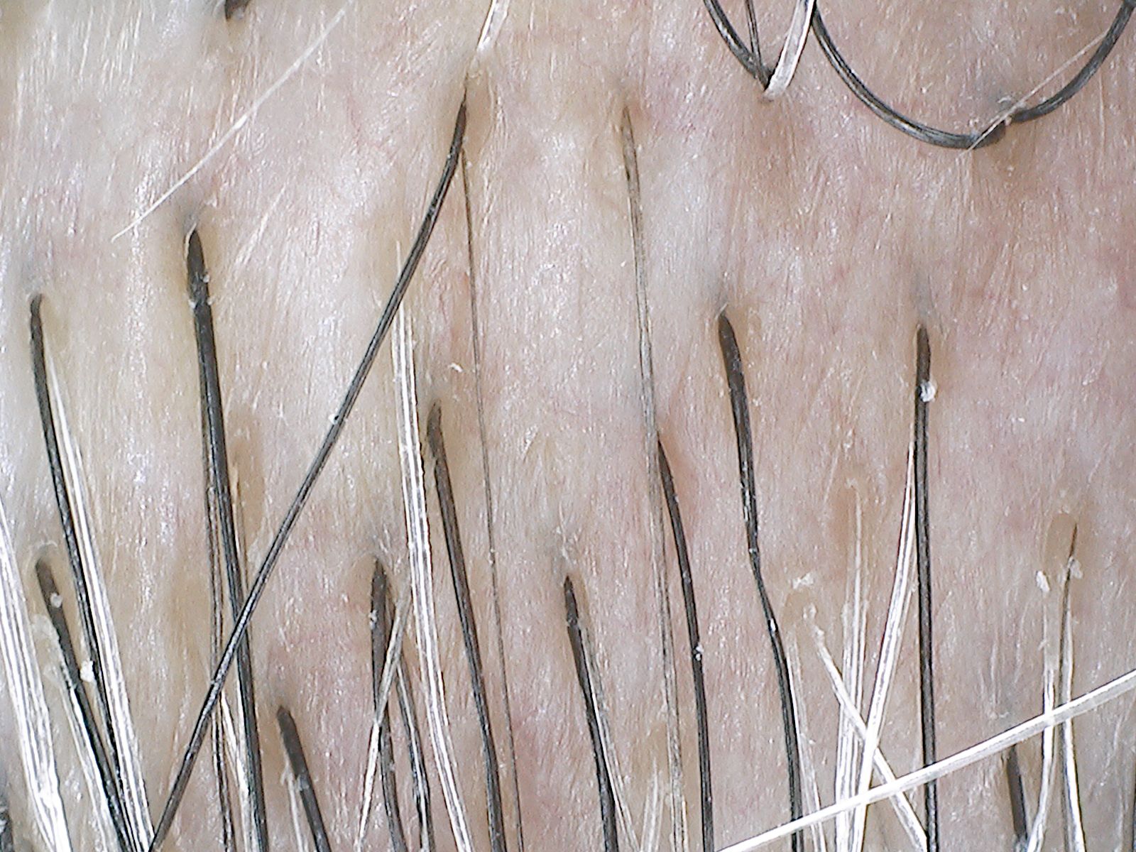 Gros plan sur des extensions de cheveux sur un fond beige texturé