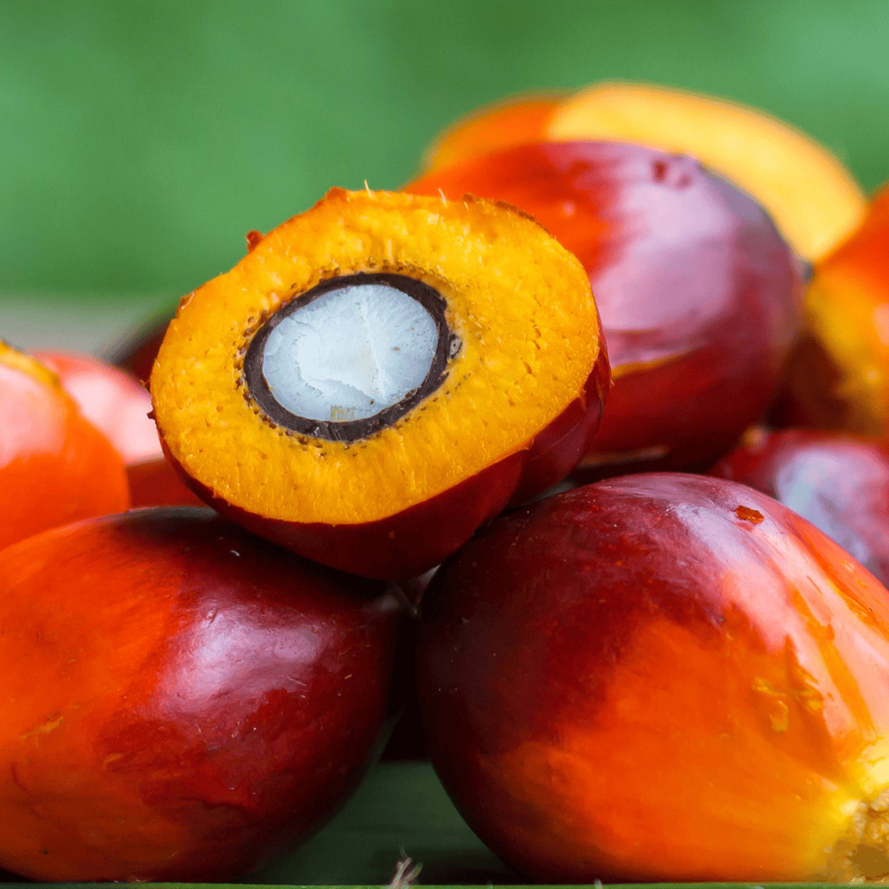 Gros plan d'un fruit de palmier avec une section coupée révélant son intérieur.