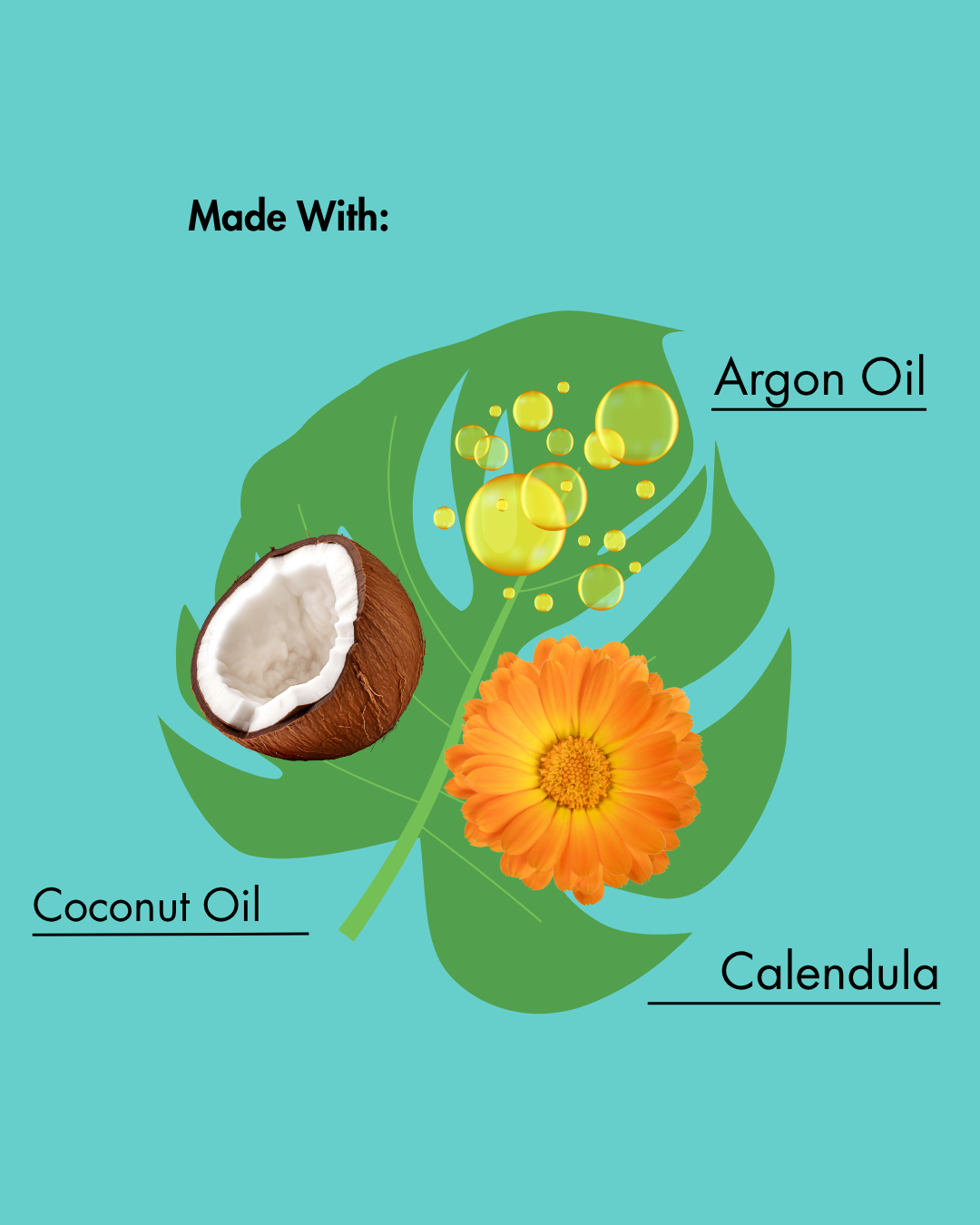 Étiquette de produit avec noix de coco, fleur de calendula et huile d'argan sur fond sarcelle