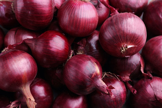 Gros plan d'oignons rouges sur fond sombre