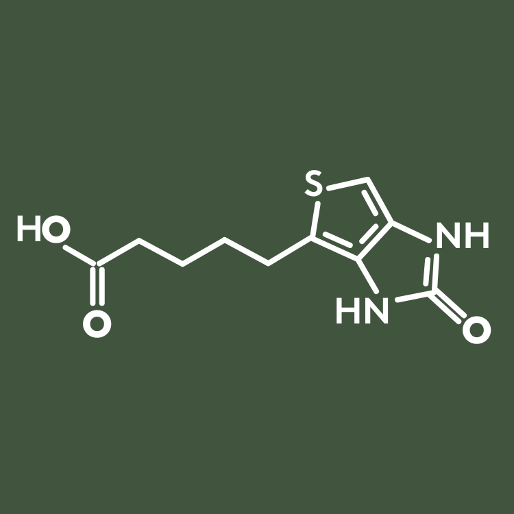 La biotine dans la collection As I Am Rosemary - soutient la force, l'épaisseur et la croissance des cheveux, infusée avec du romarin pour un cuir chevelu sain et des cheveux revitalisés.