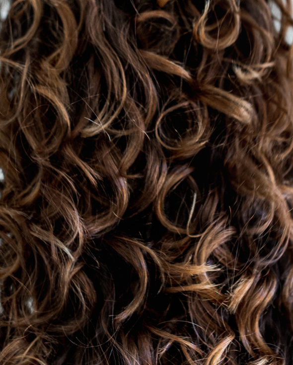 texture des cheveux bruns bouclés
